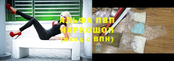 ПСИЛОЦИБИНОВЫЕ ГРИБЫ Беломорск